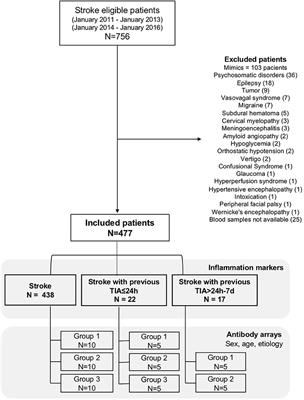 Inflammatory Response of Ischemic Tolerance in Circulating Plasma: Preconditioning-Induced by Transient Ischemic Attack (TIA) Phenomena in Acute Ischemia Patients (AIS)